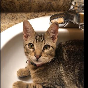 Meet your Posher, Megan